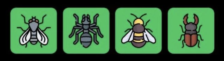 FLIES Daily Combo 23 June 2025